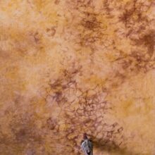 Utilisation-trois-meches